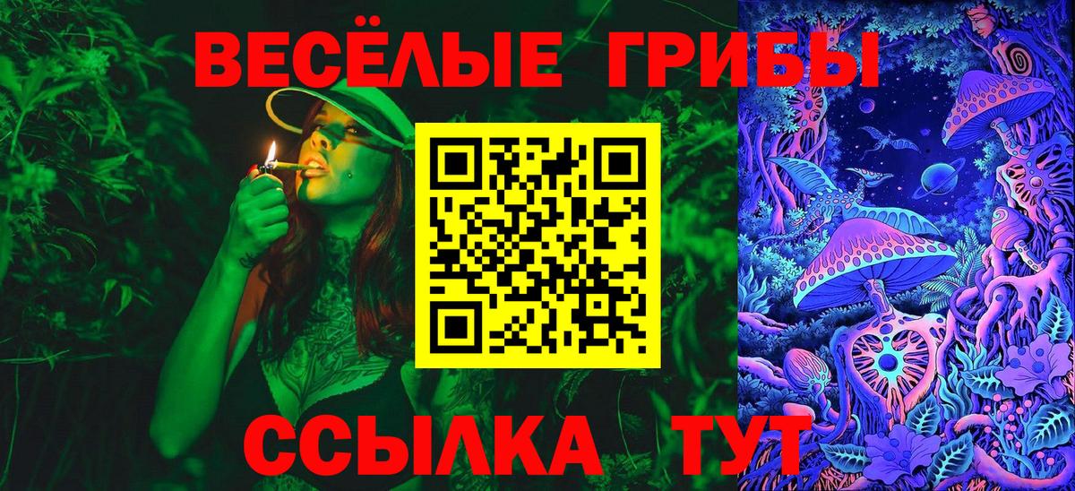 Нижний Тагил  Псилоцибиновые грибы Magic Shrooms  Вход с VPN  Псилоцибиновые грибы GOLDEN TEACHER 